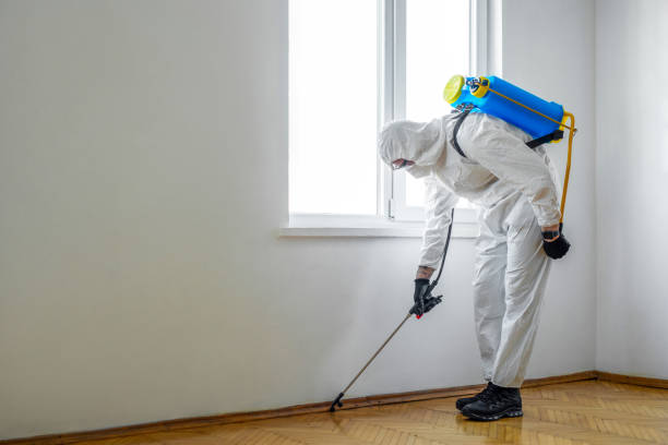 Wildlife Control Services in Rankin, PA