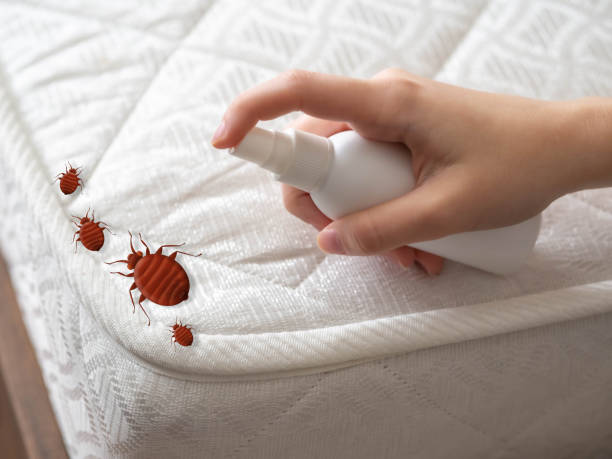 Best Flea Control Services  in Rankin, PA
