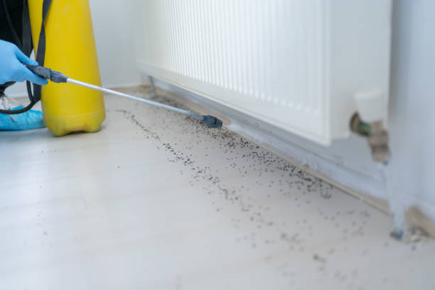 Rankin, PA Pest Control Company